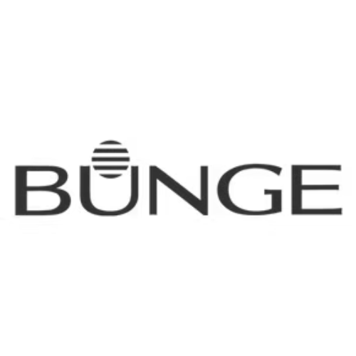 bungee